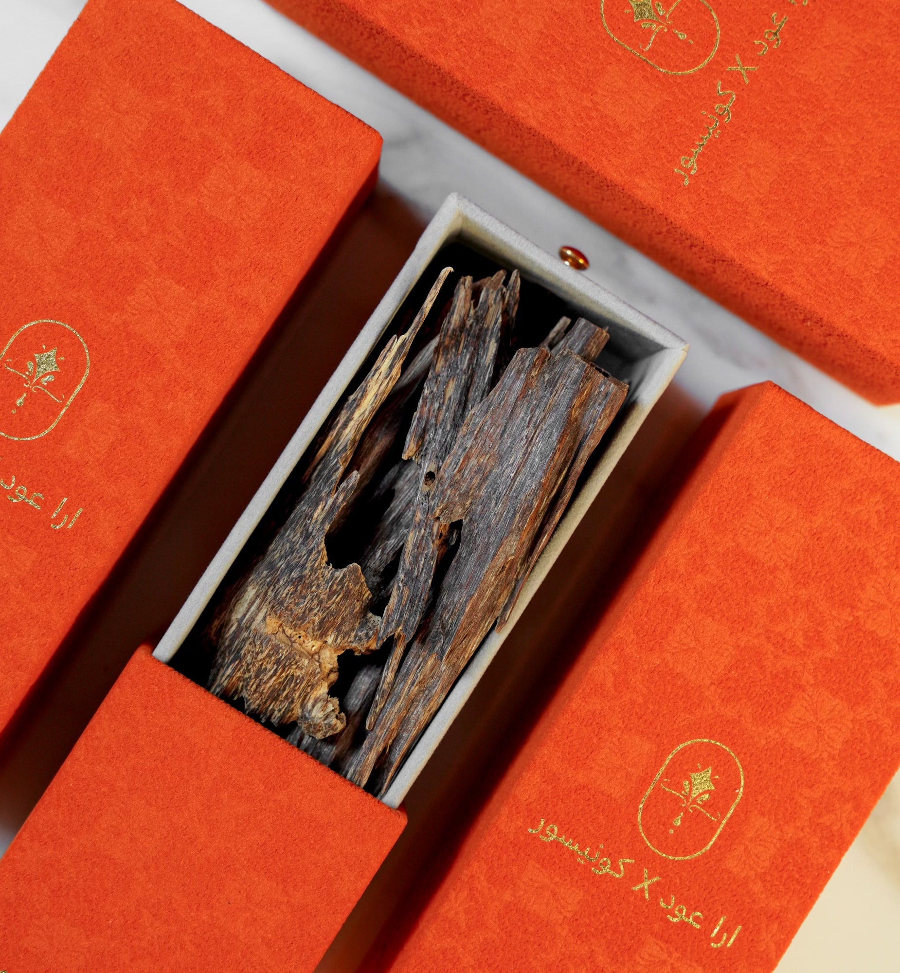 Era Oud - Zura India