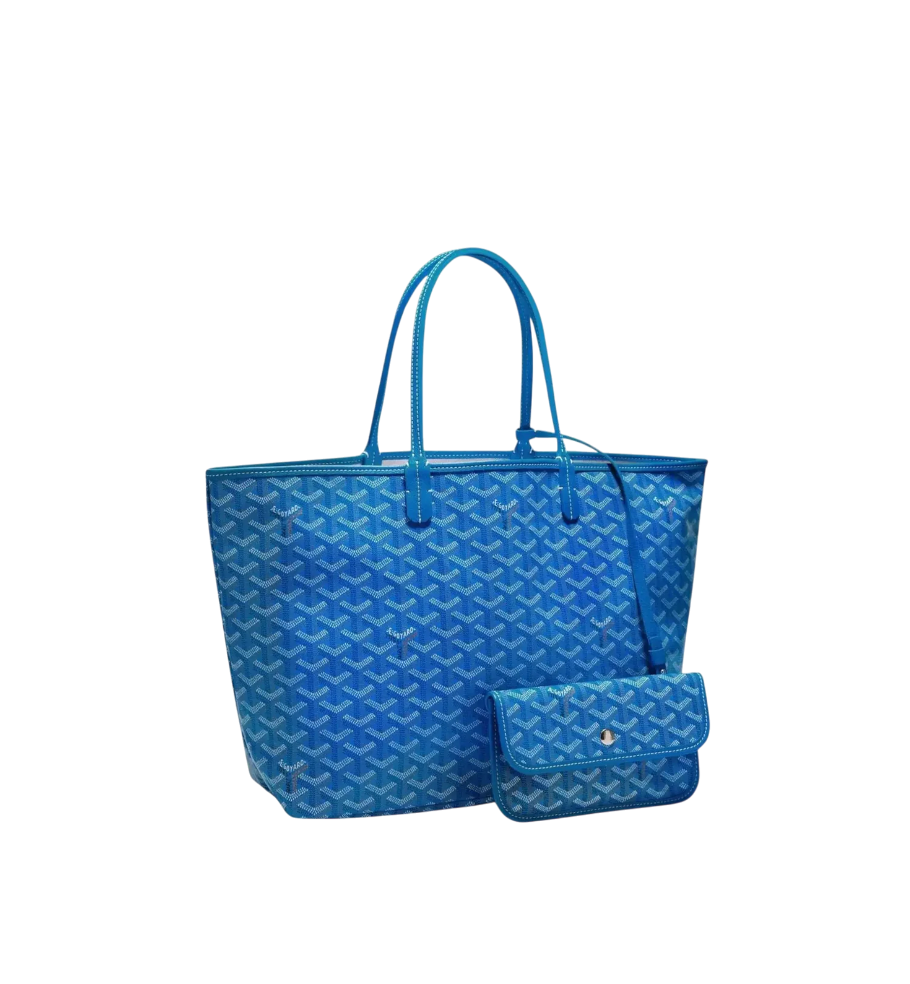 Goyard Saint Louis PM Bag Sky Blue
