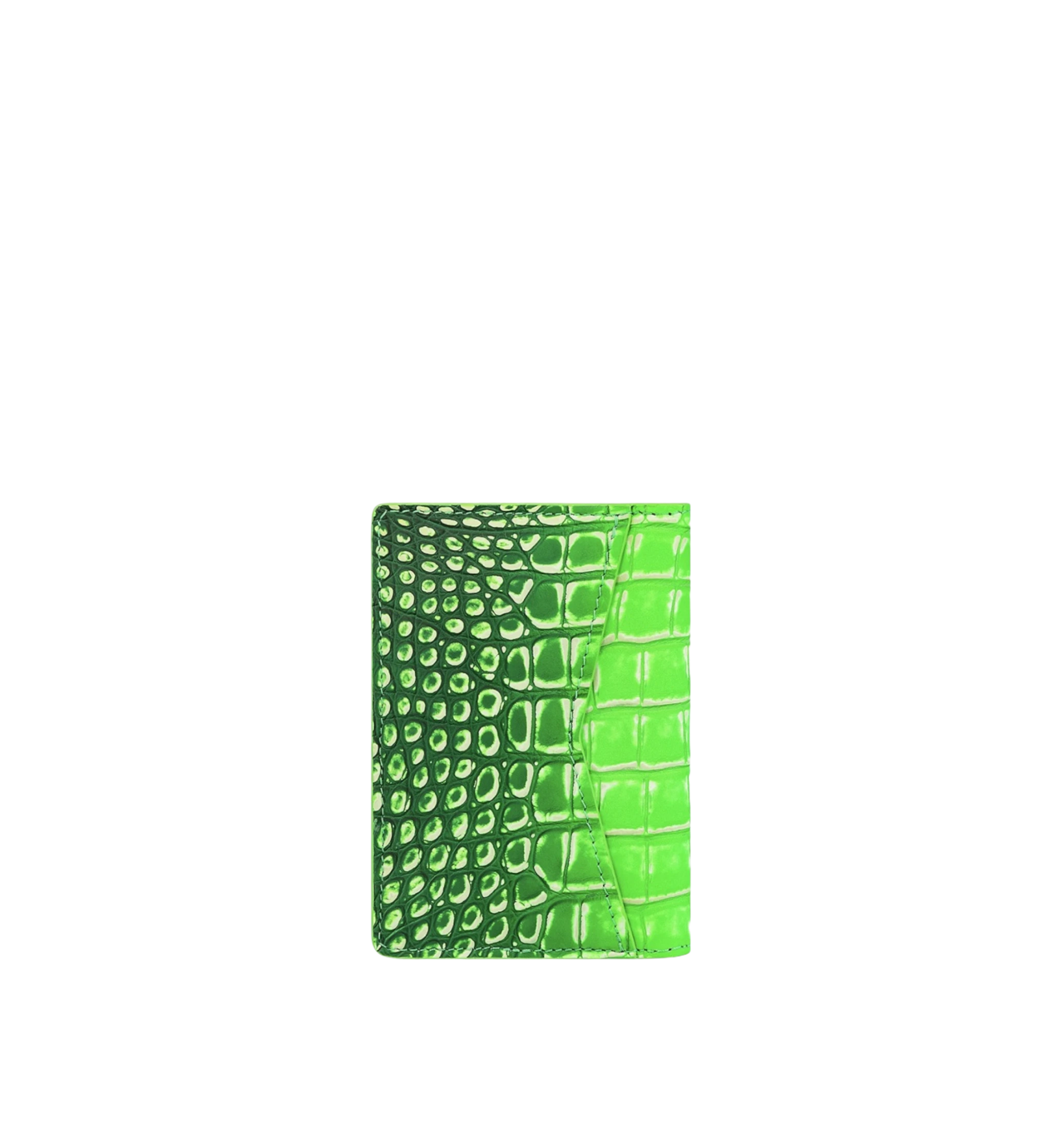 Louis Vuitton Crocodilean Matte Pocket Organizer Gradient Fluo Green